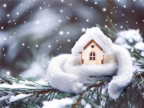 House wrapped in white scarf sitting on Christmas tree branch with snow in the background