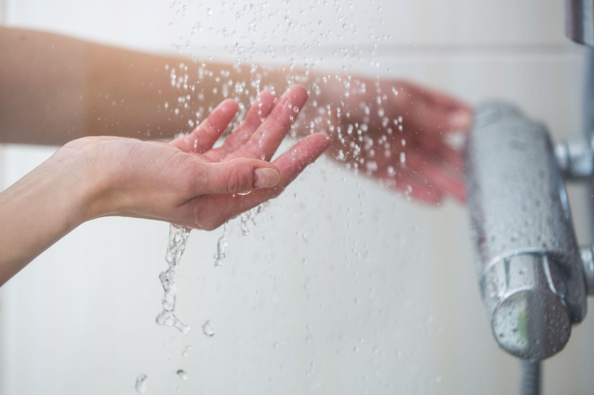 Water Softener vs. Water Filter: Which One Do You Need?